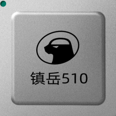 平头哥·镇岳510